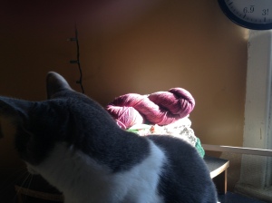 Bonus photo of Jemima trying to intercept the yarn.